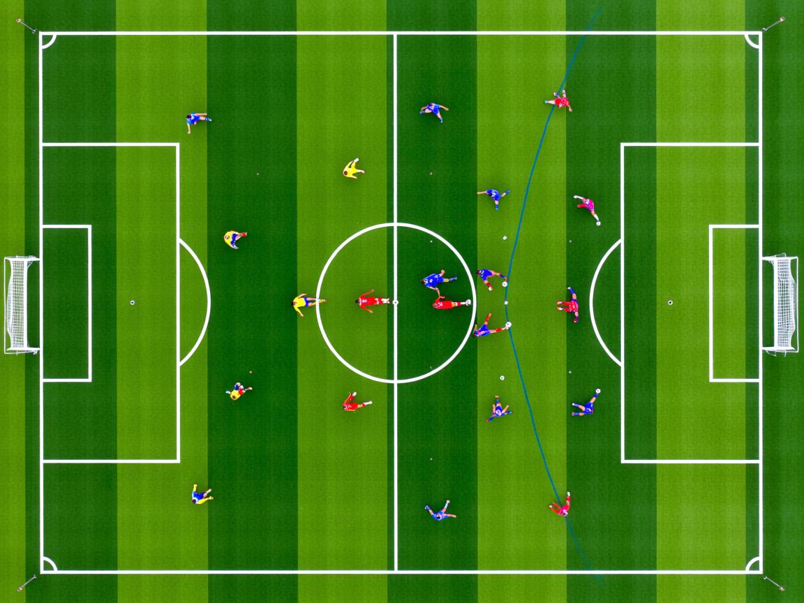 杏彩直播-体育社会组织能力建设大会成功举办，体育社会组织发展历程