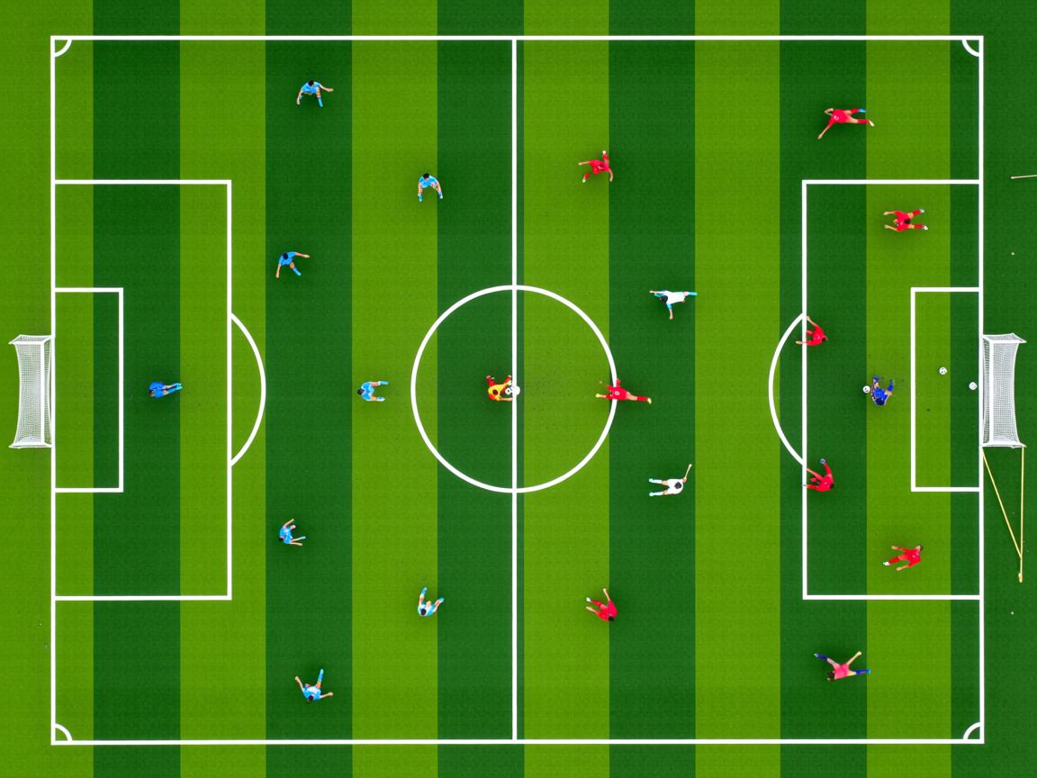 杏彩直播-体育社会组织能力建设大会成功举办，体育社会组织发展历程  第2张